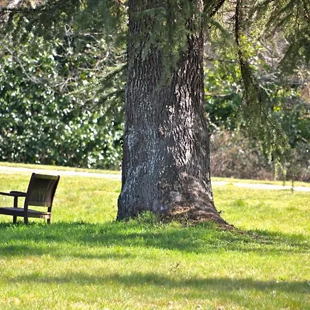 Château La Thuilière Couette-café Saint-Front-de-Pradoux
