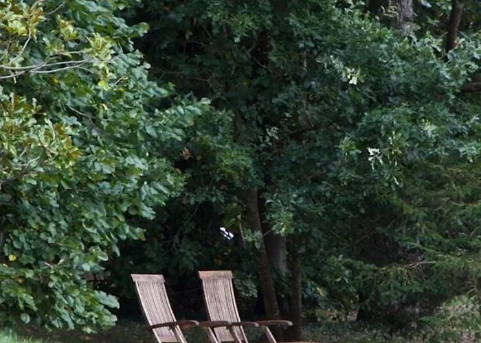 Chateau La Thuiliere Bed & Breakfast Saint-Front-de-Pradoux