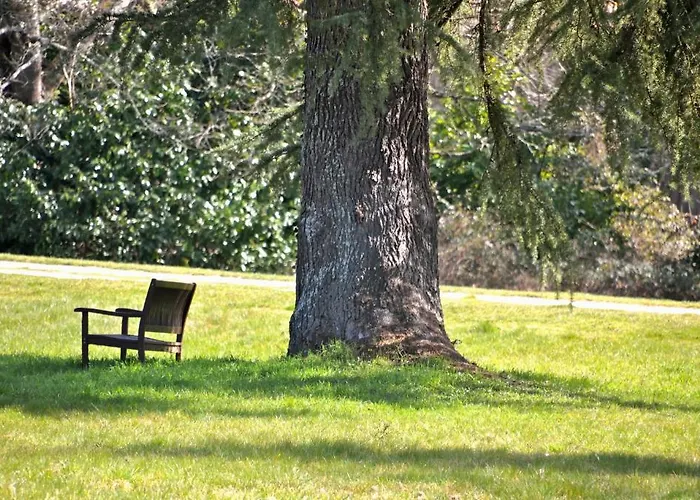 Chateau La Thuiliere Bed & Breakfast Saint-Front-de-Pradoux