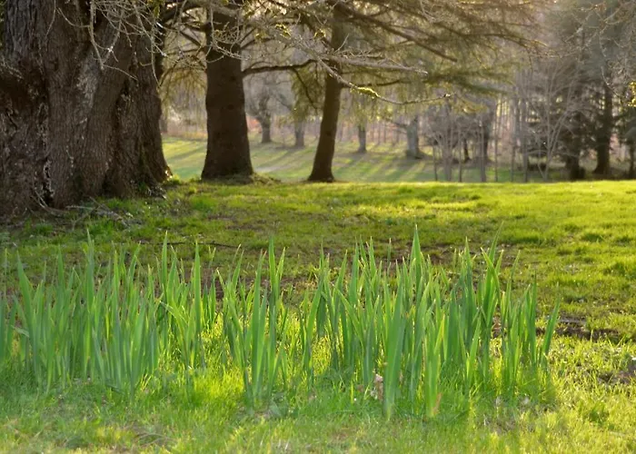 Chateau La Thuiliere 4*