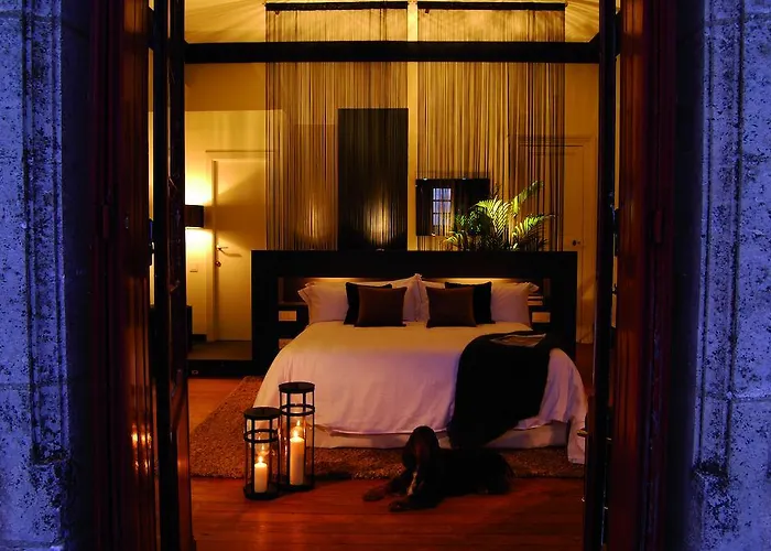 Chateau La Thuiliere Bed & Breakfast Saint-Front-de-Pradoux