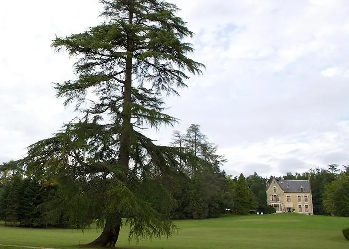 Chateau La Thuiliere Bed & Breakfast