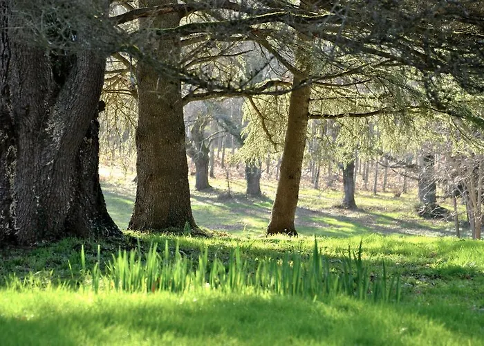 Bed & Breakfast Chateau La Thuiliere